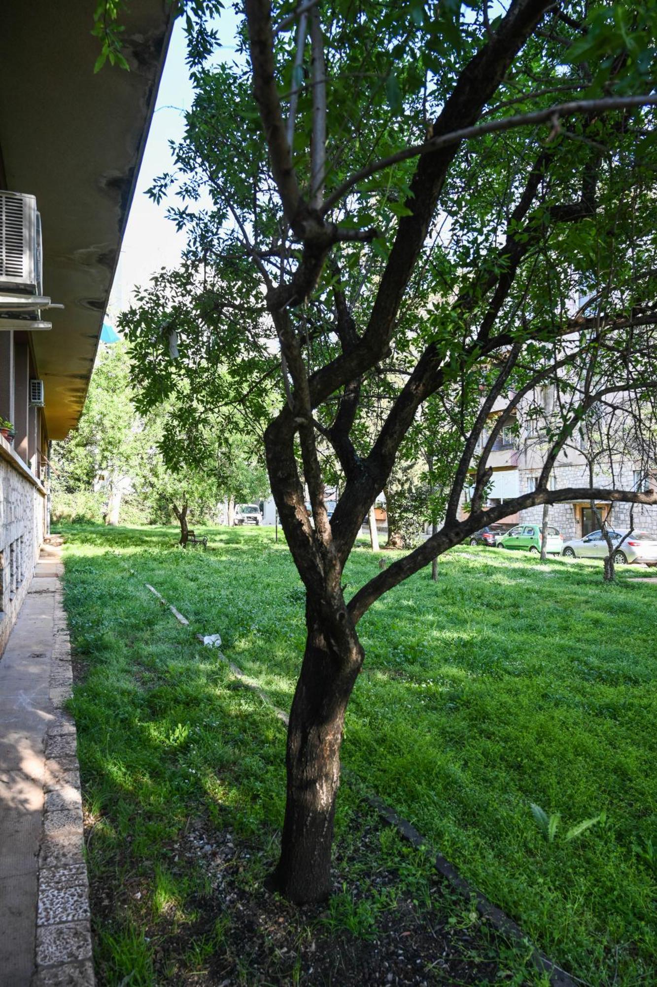 4-Star Design Apartments Bubamara Задар Екстер'єр фото